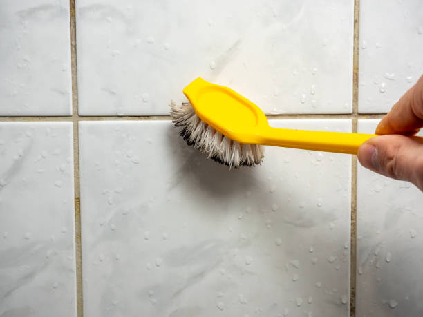 Best Residential Mold Removal  in Piney Mountain, VA