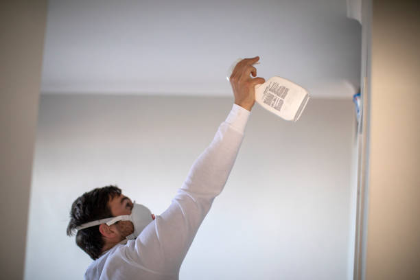 Best Black Mold Removal  in Piney Mountain, VA