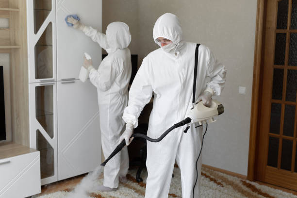 Best Attic Mold Removal  in Piney Mountain, VA