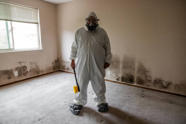 Best Mold Cleaning Services  in Piney Mountain, VA